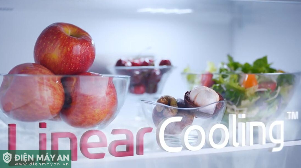 Tủ lạnh LG 217 lít LTB21BLMD